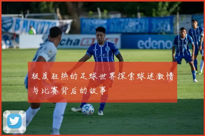 极度狂热的足球世界探索球迷激情与比赛背后的故事