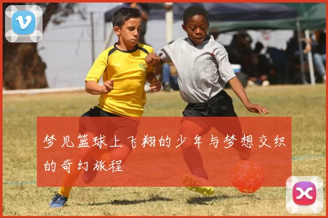 梦见篮球上飞翔的少年与梦想交织的奇幻旅程